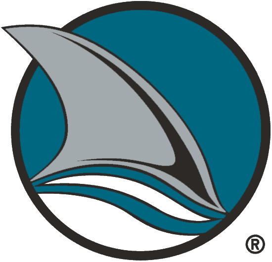 San Jose Sharks 1998-2007 Alternate Logo t shirts iron on transfers